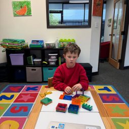 Photo-Feb-05-2026-15-17-35